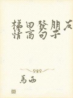 梯田发朋友圈高情商句子