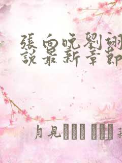 张向晚刘翊京小说最新章节更新时间