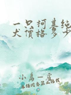 一只柯基纯种幼犬价格多少钱