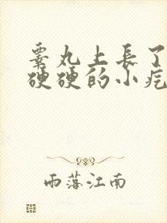 睾丸上长了一个硬硬的小疙瘩