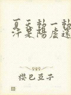 夏天动一动就出汗是阳虚还是阴虚