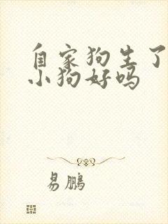 自家狗生了8只小狗好吗