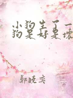 小狗生了一只小狗是好是坏