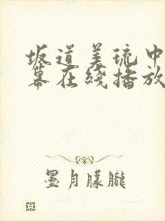 坂道美琉中文字幕在线播放