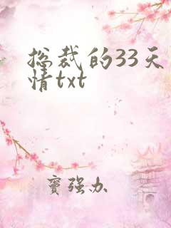 总裁的33天索情txt