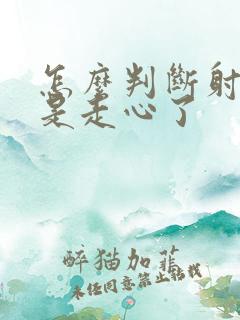 怎么判断射手男是走心了