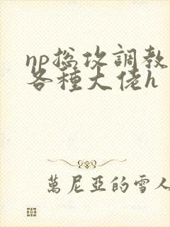 np总攻调教j各种大佬h
