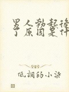 男人勃起后又软了原因是什么