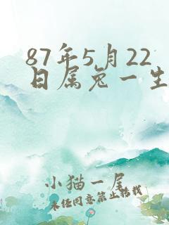 87年5月22日属兔一生命运