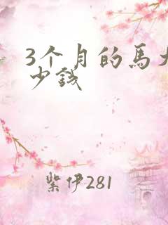 3个月的马犬多少钱