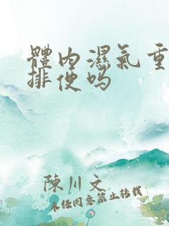 体内湿气重影响排便吗