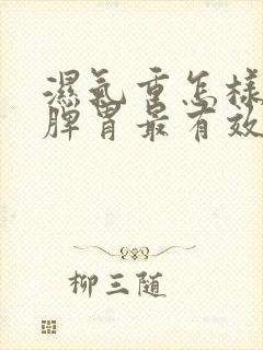 湿气重怎样调理脾胃最有效