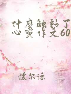 什么触动了我的心灵作文600字以上