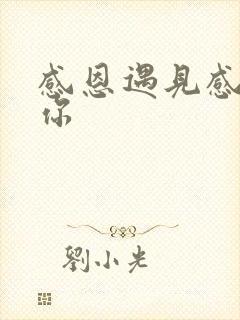 感恩遇见感谢有你