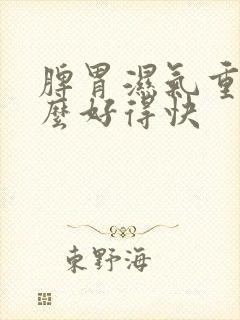 脾胃湿气重吃什么好得快