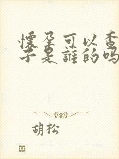 怀孕可以查出孩子是谁的吗