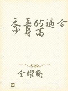 衣长65适合多少身高