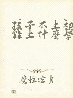 孩子不上初中还能上什么学校