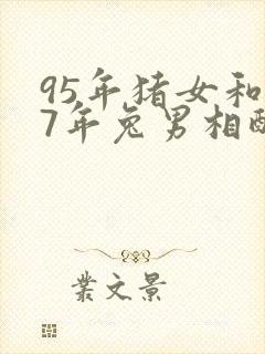 95年猪女和87年兔男相配吗