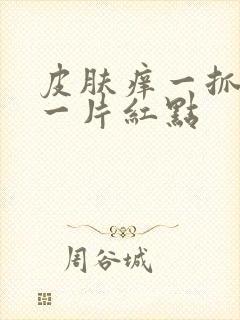 皮肤痒一抓就起一片红点