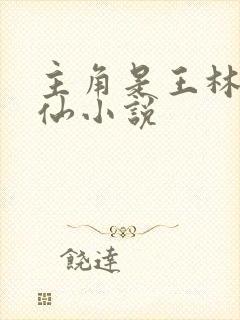 主角是王林的修仙小说