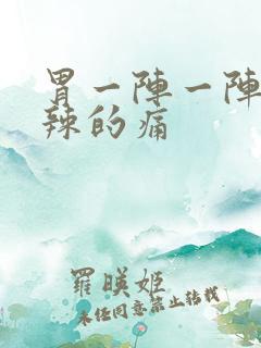 胃一阵一阵火辣辣的痛