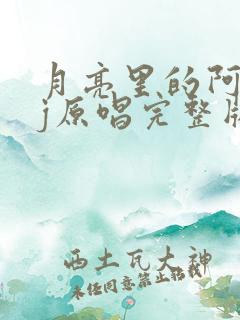 月亮里的阿妹dj原唱完整版