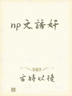 np文诱奸