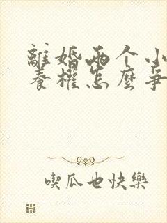 离婚两个小孩抚养权怎么争取