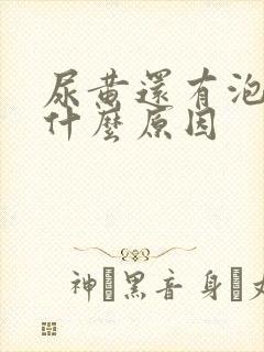 尿黄还有泡沫是什么原因