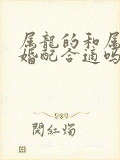 属龙的和属兔的婚配合适吗