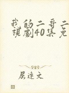 我的二哥二嫂电视剧40集免费观看