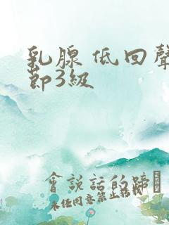 乳腺 低回声结节3级