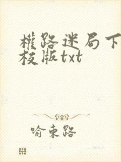 权路迷局下载精校版txt