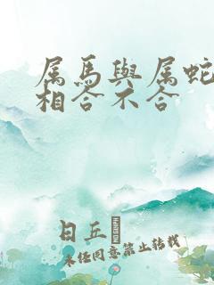 属马与属蛇的属相合不合