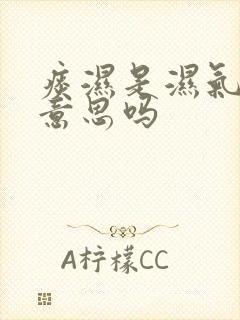 痰湿是湿气重的意思吗