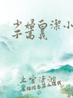 少妇白洁小说东子高义