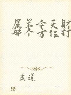 属羊今天财神在哪个方位打牌