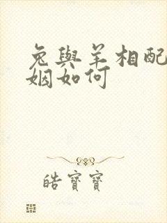 兔与羊相配的婚姻如何