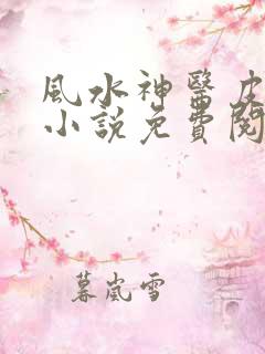 风水神医皮剑青小说免费阅读无弹窗