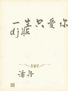 一生只爱你一次dj版