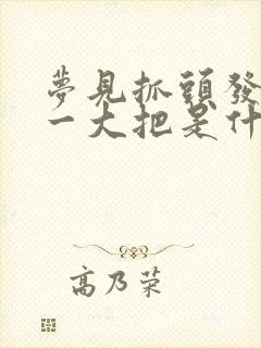 梦见抓头发掉了一大把是什么意思