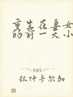 重生在妻女活着的前一天小说