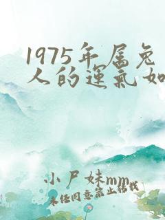 1975年属兔人的运气如何