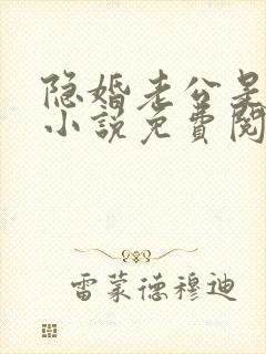 隐婚老公是大佬小说免费阅读