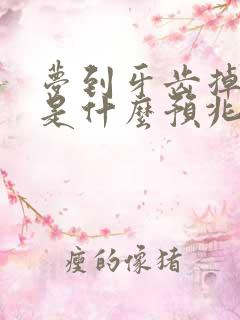 梦到牙齿掉完了是什么预兆