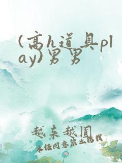 (高h道具play)男男