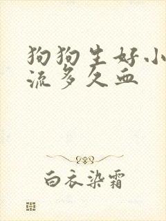 狗狗生好小狗要流多久血