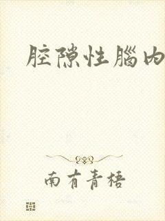 腔隙性脑内梗塞