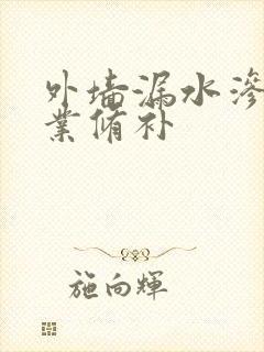 外墙漏水渗水专业修补